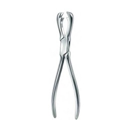 Fergusson Bone Holding Forceps 21cm