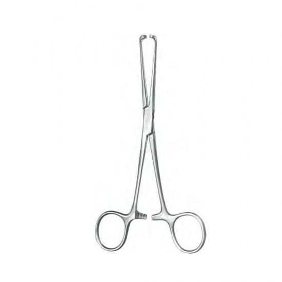 Steinmann Tendon Holding Forceps 16cm