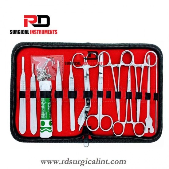 Basic Surgical Minor Surgery Set of 18 Pieces kit 